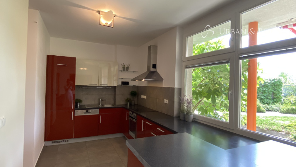 Prenájom rodinného domu na ulici Sovia na Kolibe