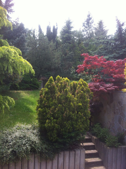 Prenájom rodinného domu so záhradou na Bellovej ulici na Kolibe