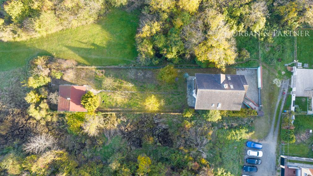 PREDAJ rodinného domu s rozľahlým pozemkom ŠENKVICE.