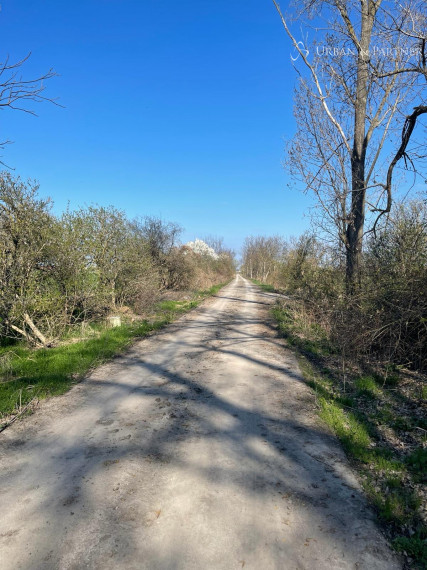 Predaj pozemku pri obci Blatná na ostrove, okr. Dunajská Streda