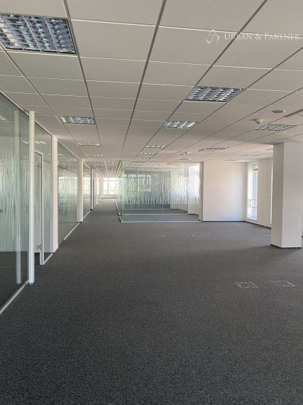 Prenájom kancelárskych priestorov na Ševčenkovej ulici v Petržalke