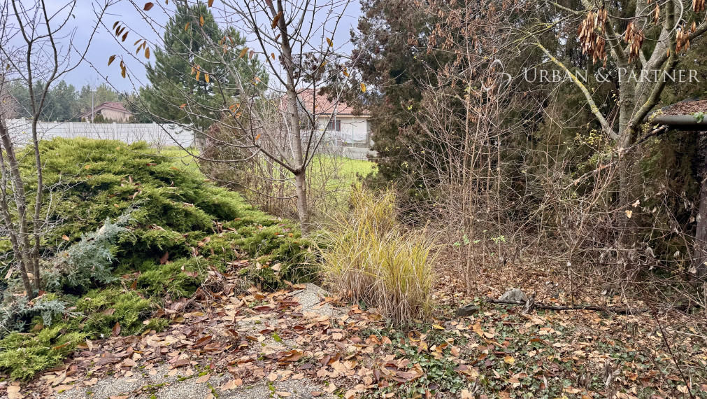 Na predaj stavebný pozemok v obci Horné Zelenice v okrese Hlohovec