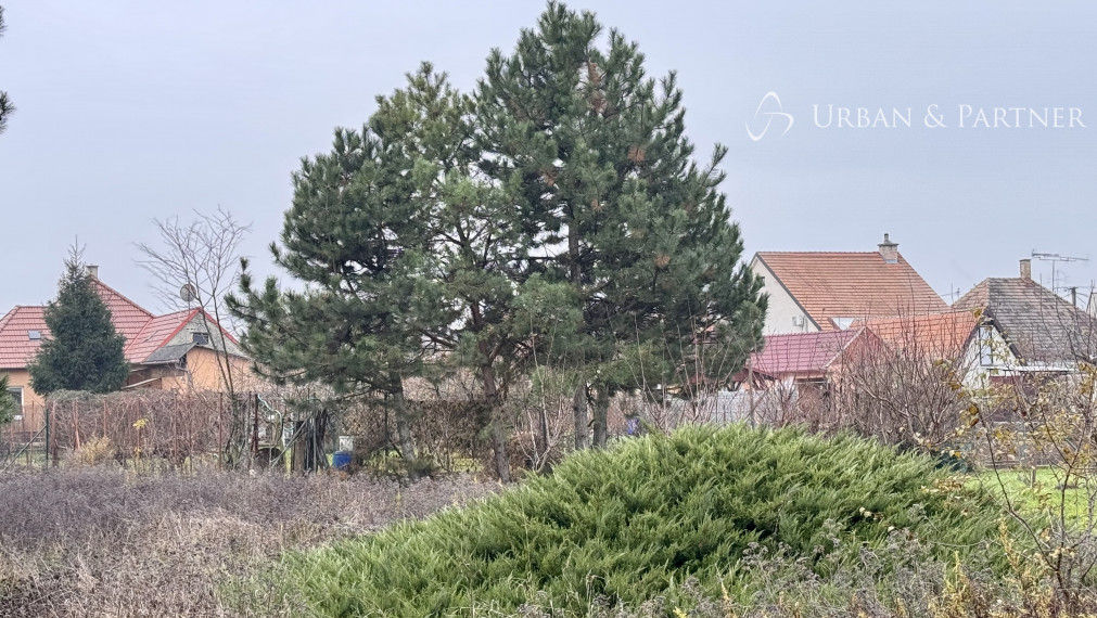 Na predaj stavebný pozemok v obci Horné Zelenice v okrese Hlohovec