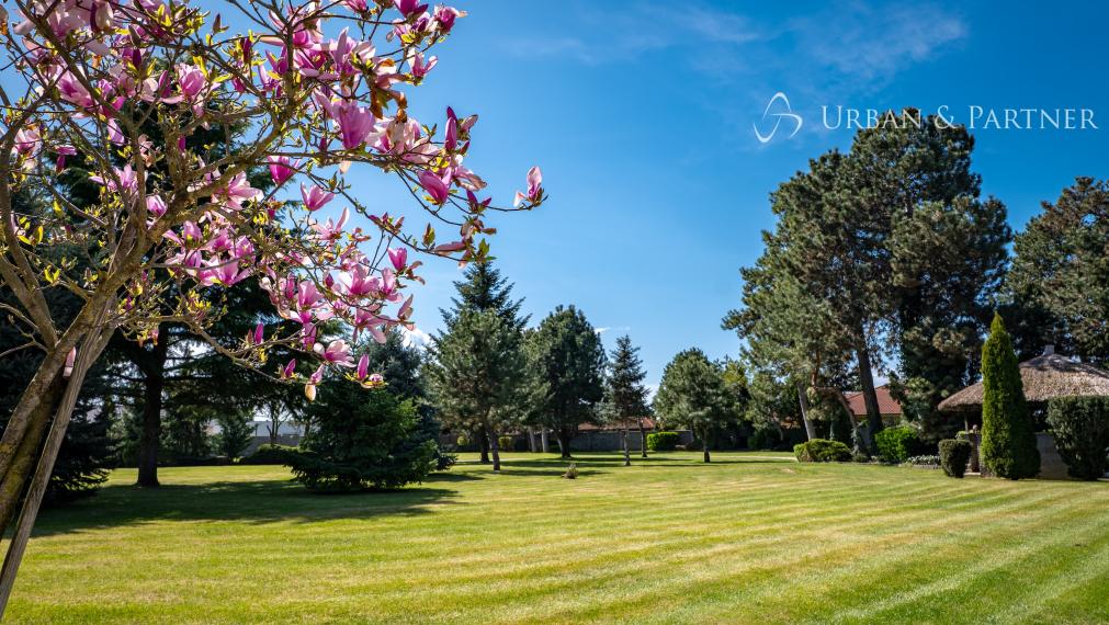 REZERVOVANÉ!  Rodinný dom s výnimočným pozemkom 1ha-aj na ďalšiu výstavbu!