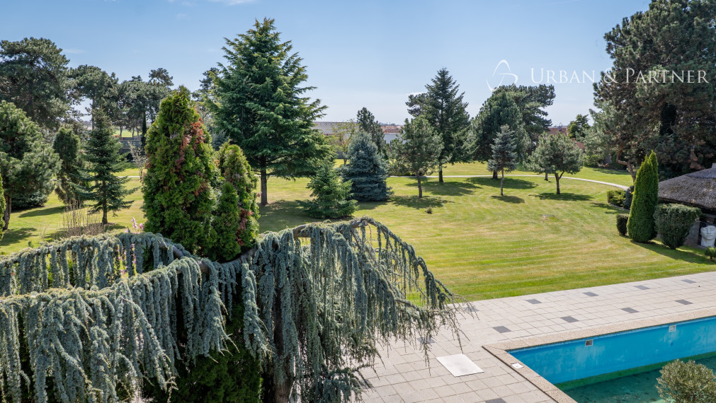 REZERVOVANÉ!  Rodinný dom s výnimočným pozemkom 1ha-aj na ďalšiu výstavbu!