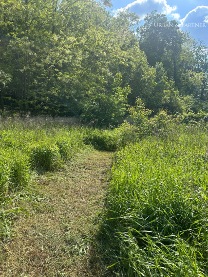 Len u nás v ponuke: Predaj pozemku pod lesom v Záhorskej Bystrici