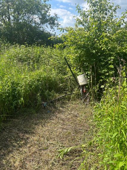 Len u nás v ponuke: Predaj pozemku pod lesom v Záhorskej Bystrici