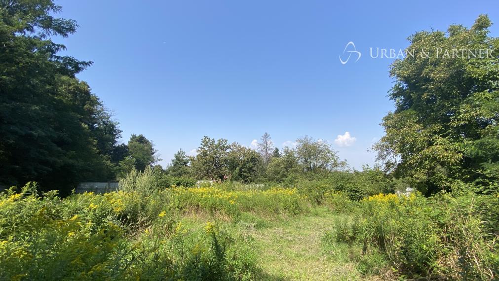 Len u nás v ponuke: Predaj pozemku pod lesom v Záhorskej Bystrici