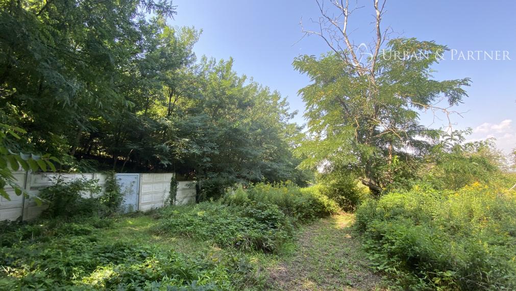 Len u nás v ponuke: Predaj pozemku pod lesom v Záhorskej Bystrici