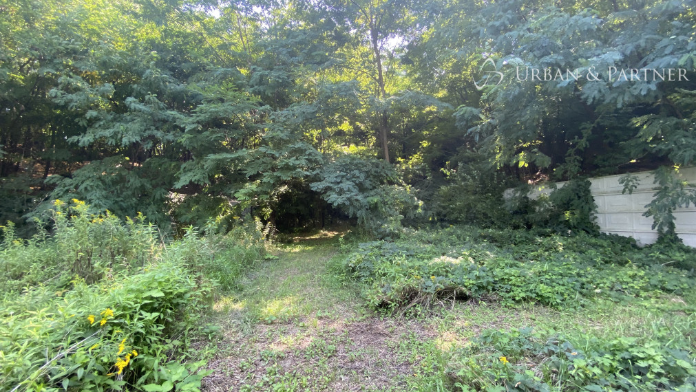 Len u nás v ponuke: Predaj pozemku pod lesom v Záhorskej Bystrici