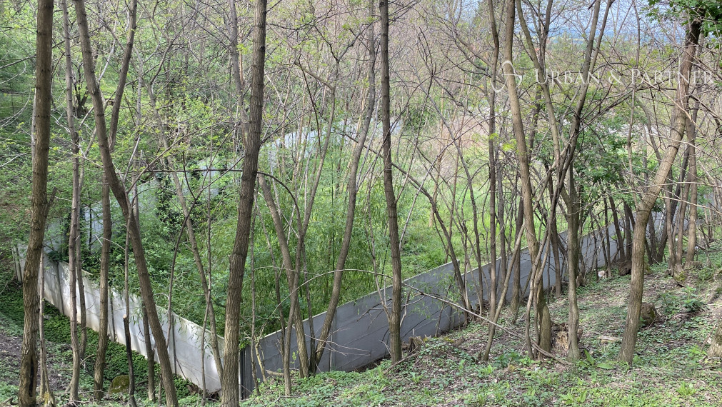 Len u nás v ponuke: Predaj pozemku pod lesom v Záhorskej Bystrici