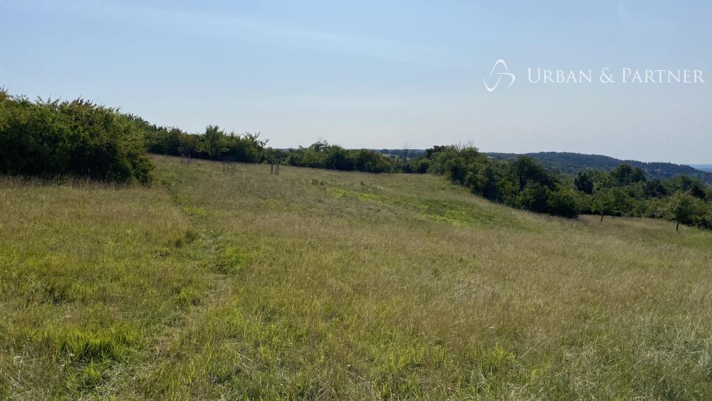 Predaj výnimočného pozemku s panoramatickým výhľadom v Devíne