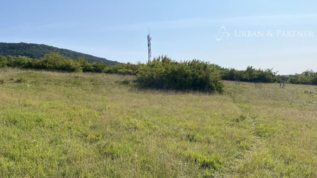 Predaj výnimočného pozemku s panoramatickým výhľadom v Devíne