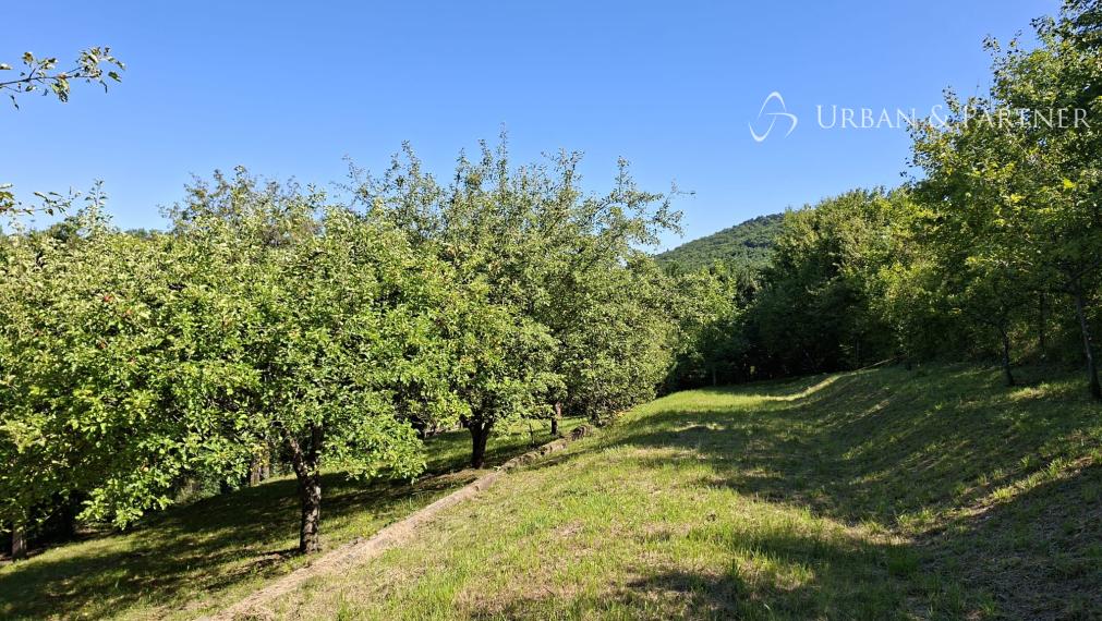 Predaj nadštandardnej chalupy v lokalite Bzince pod Javorinou
