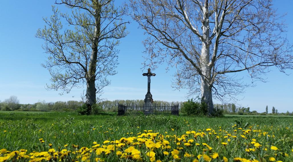 Zaujímavý pozemok na Žitnom ostrove v obci Číčov