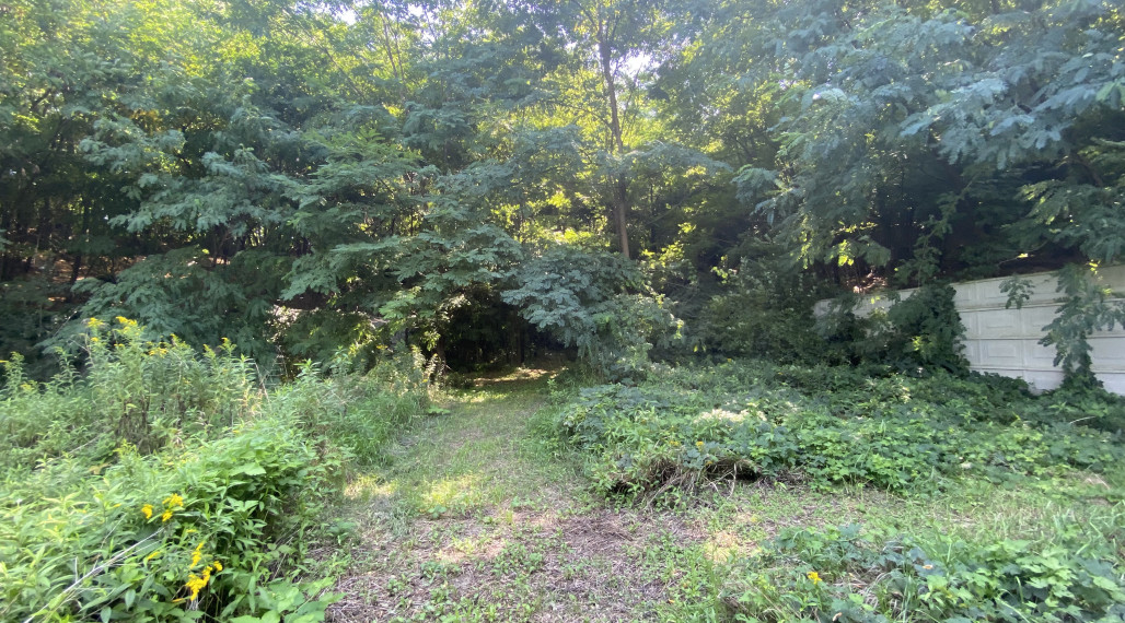 Len u nás v ponuke: Predaj pozemku pod lesom v Záhorskej Bystrici