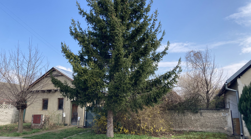 VAŠE VÍKENDOVÉ ÚTOČISKO S OBROVSKÝM POZEMKOM – ZEMIANSKE SADY