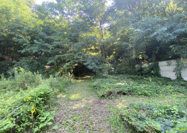 Len u nás v ponuke: Predaj pozemku pod lesom v Záhorskej Bystrici