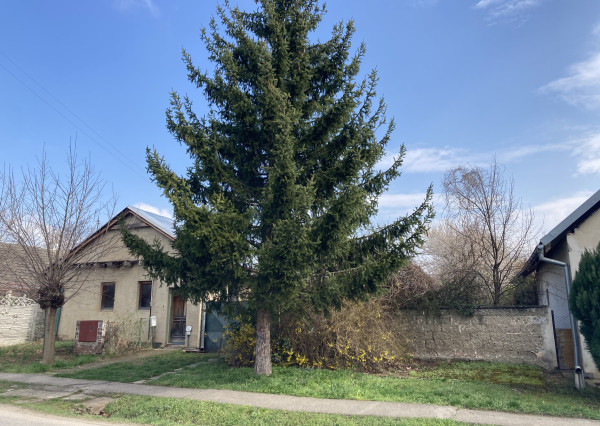 VAŠE VÍKENDOVÉ ÚTOČISKO S OBROVSKÝM POZEMKOM – ZEMIANSKE SADY